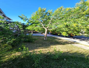 Photos by Chavezm Tree Service #18