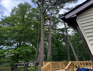 Flores Tree Services General & Landscaping
