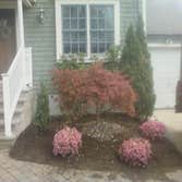 My Project