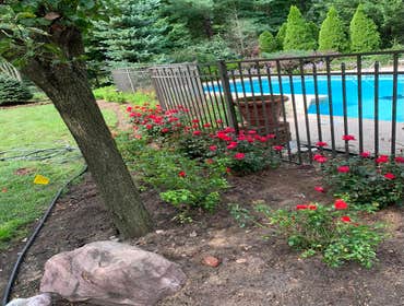 Photos by Impeccable Landscaping LLC #1