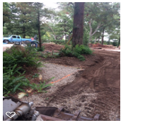 Photos by Foothill Nursery & Landscape Inc #1