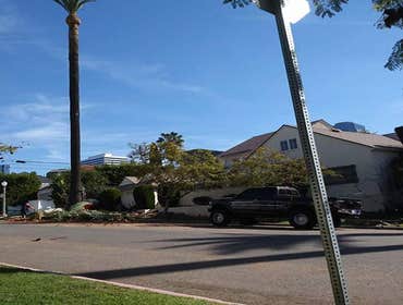 Photos by Villeda Tree Services #1
