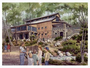 Architectural Designs
