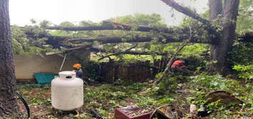 Frady Tree Care