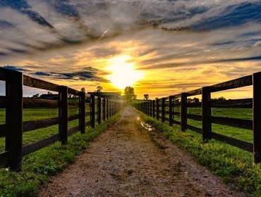 Fences