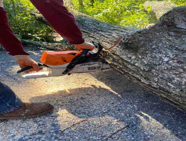 Photos by Atlanta R Tree Service and Landscaping Professional #1