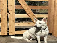 Photos by Bigfoot Fence #1