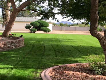 Landscaping