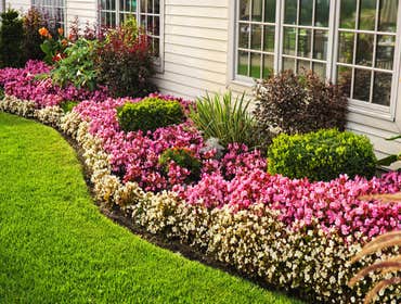 Photos by Ocote Landscaping #1