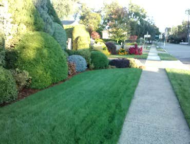 New seed lawn and spray system