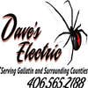 Dave's Electric logo