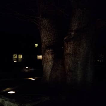 Landscape lighting Owyhee St.