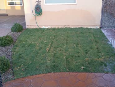 Photo(s) from Mannys Landscape & Irriagation