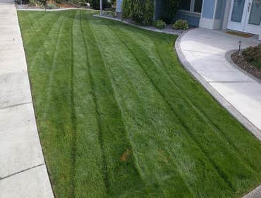Photos by Morfins Tree Trim & Landscape #1