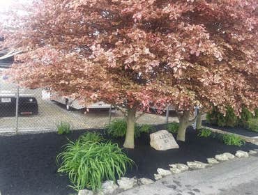 Photos by Jm Landscape and Tree Services #1