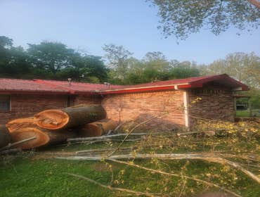 Photos by Valdez Tree Service LLC #2