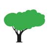 Green Magic Lawn and Landscape - SavATree logo