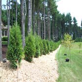 Walkways, Plantings, Retaining wall