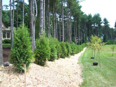 Walkways, Plantings, Retaining wall