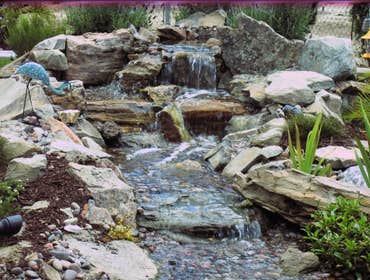 Photo(s) from Pro Pool Management LLC