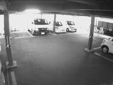 Web Cam 1