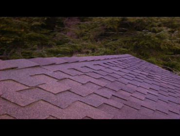 New Roof