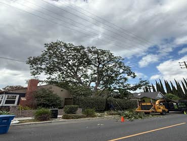 Photos by Majestic Tree Care Inc #11