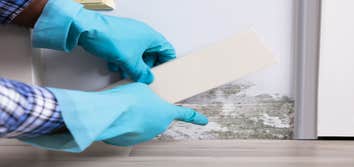 Us Water Damage Restoration of Austin