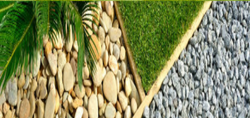 Photos from Safari Lawn Care LLC