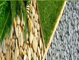 Photos from Safari Lawn Care LLC