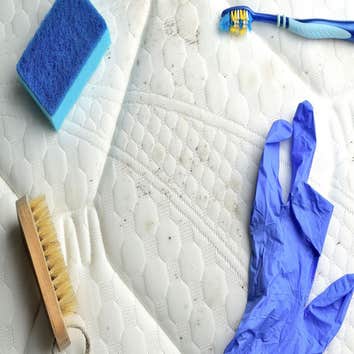 Mold Experts of Broken Arrow
