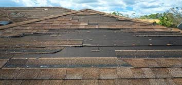 Elite Roofing & Sheshedz