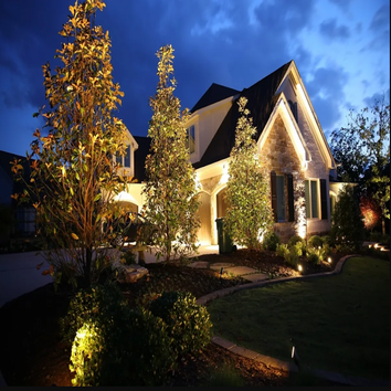 Aft Electrical & Mechanical