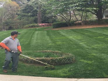 Mowing Experts in Moore and Harnett County NC