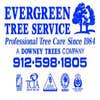 Evergreen Tree Service logo