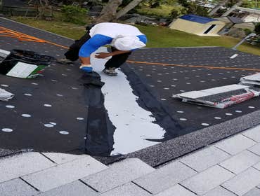 homesterad shingles roof