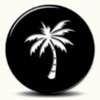 Bent Palm Design Build logo