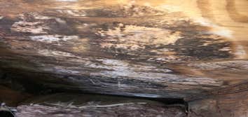 Provision Property Restoration