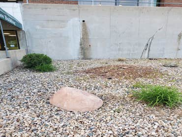 Photos by Junior Landscaping #1