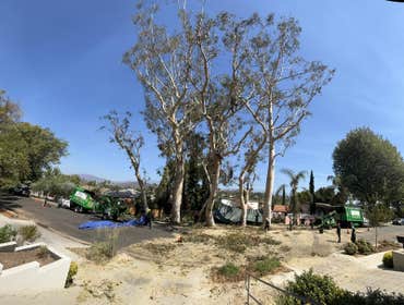 Photos by California Green Tree Care #1