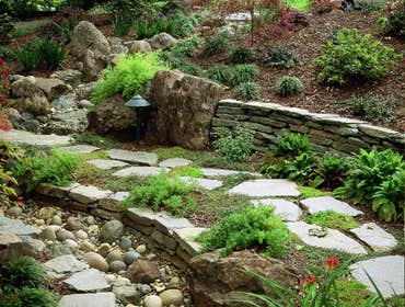Photos by Confidence Landscaping Inc #1