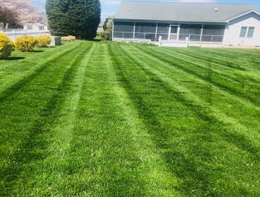 Photos by Lawn Pro Services LLC #3