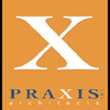 Praxis Architects Inc. logo