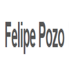 Felipe Pozo Electrical Contractor logo
