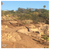 Photos by Foothill Nursery & Landscape Inc #1