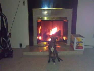 New tile surround and hearth
