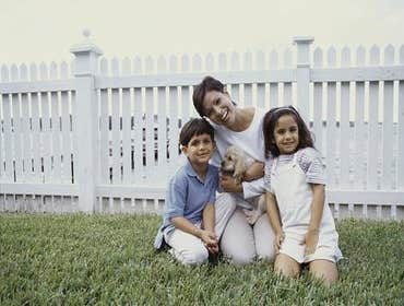Fences