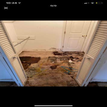 Water Damage / Mold Job