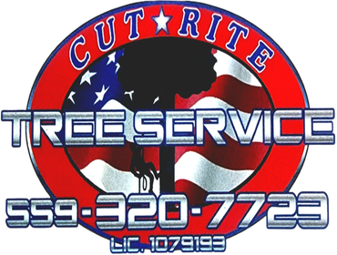 Photos by Cut Rite Tree Service Fresno #1