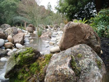 Landscaping Projects